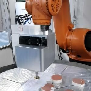 Robotic Surface Finishing Equipment