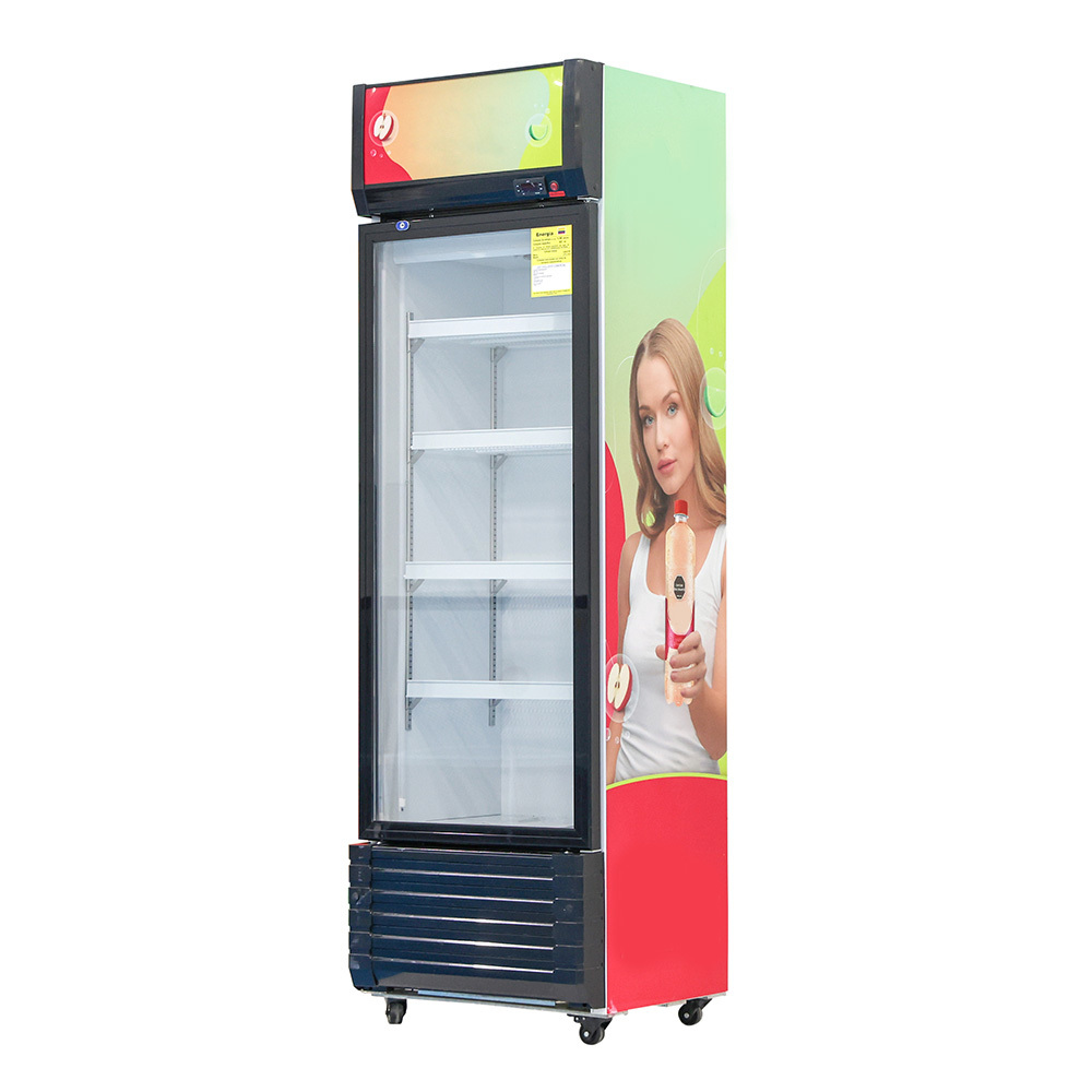 Energy Efficient Glass Door Refrigerator with 2-8°C Temperature Range and 400L Storage Capacity Using R290a Eco-Friendly Refrigerant