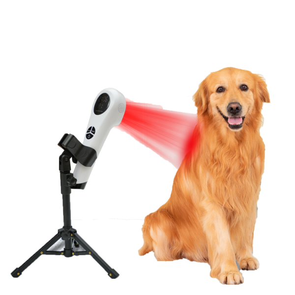HSY-HTP1660 Custom Handheld Red Light Therapy Device for Pets