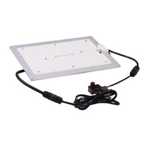 288 Quantum Board
