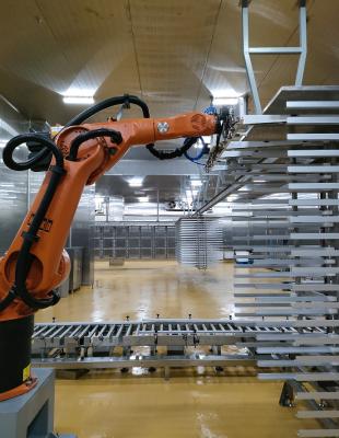 Célula robótica industrial de automação flexível com classificação de proteção IP65 e alcance de 2033 mm
