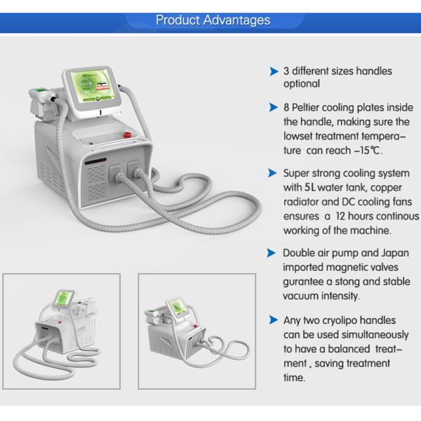 portable Desk two handls Cryolipolysis fat freeze body slimming machine Coolsculpting equipment for weight loss