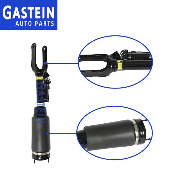 2153203113 2513203013 Front Air Ride Suspenion Systems