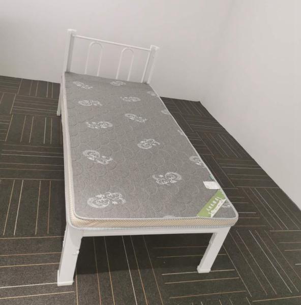 Strong Metal Bedroom L1900mm Single Iron Bed For Students