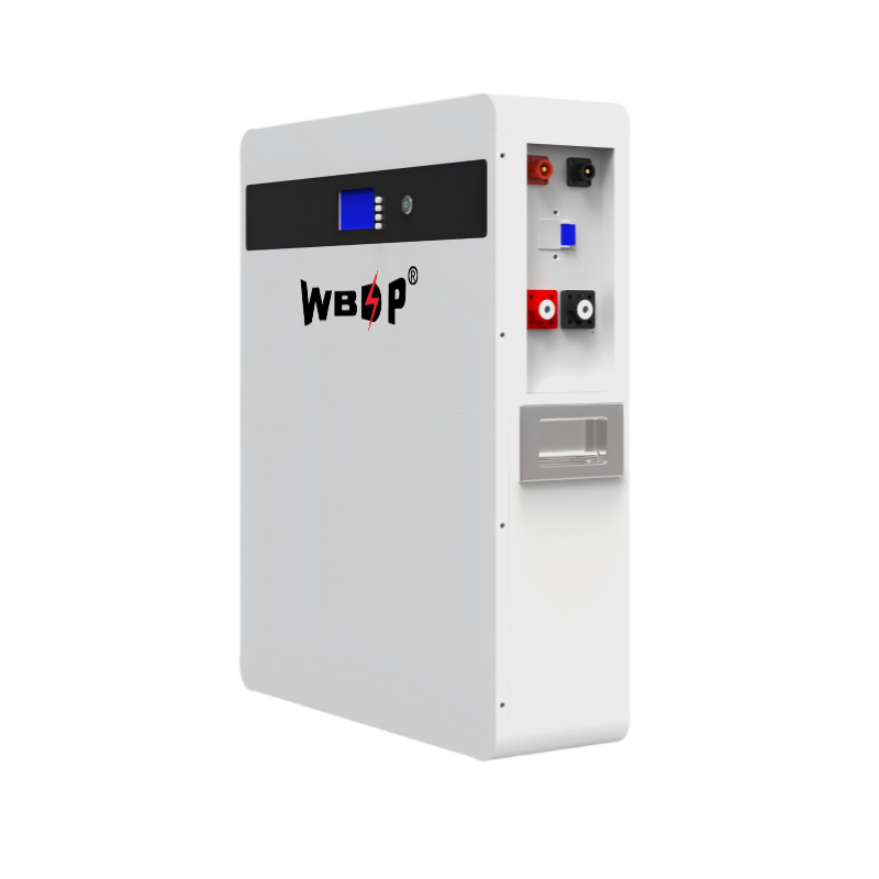 Wall Mounted Lithium LiFePo4 Battery 51.2V 100Ah 5.12kWh Home Solar Storage Battery