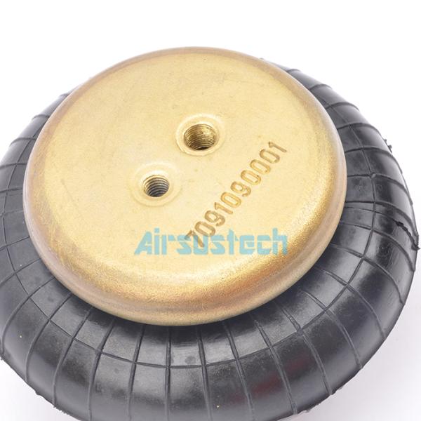 Газ заполнил весну воздуха сотрясает Weforma WBE 100-E1 G1/8 континентальный FS 40-6