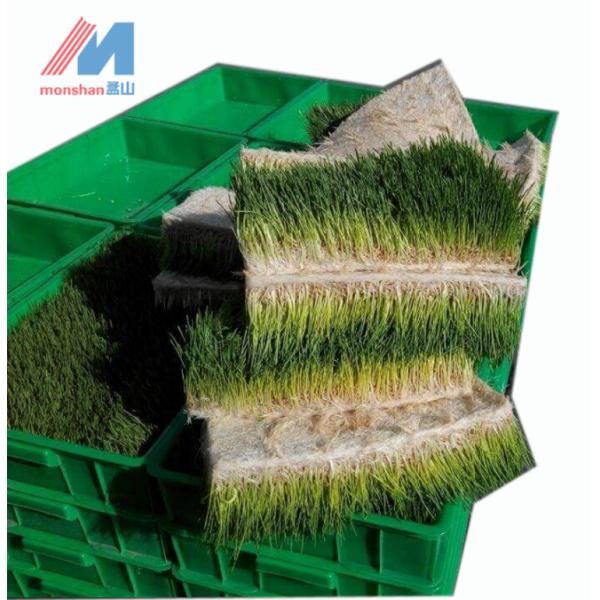 Ежедневный контейнер корма 1000kg 3Hp Aircon Hydroponic для скотоводческого хозяйства