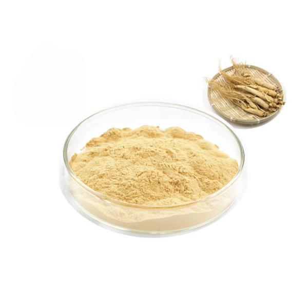 Органическая сибирская выдержка женьшени корня 30% 80% Гинсеносидес чистая