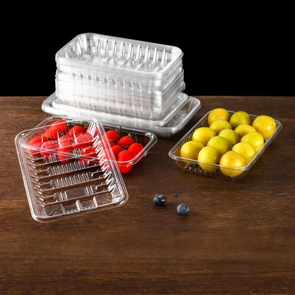 Supermarket PET Freezer Food Tray Customized Lightweight For Meat Packaging