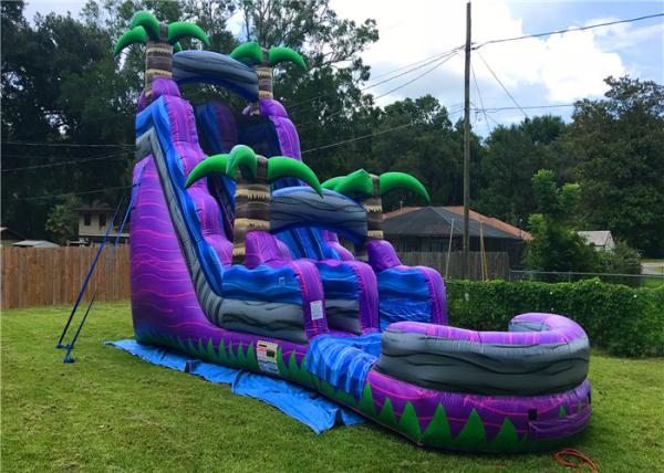 Summer Inflatable Water Slides For Adults Blue Purple Color Customized Size