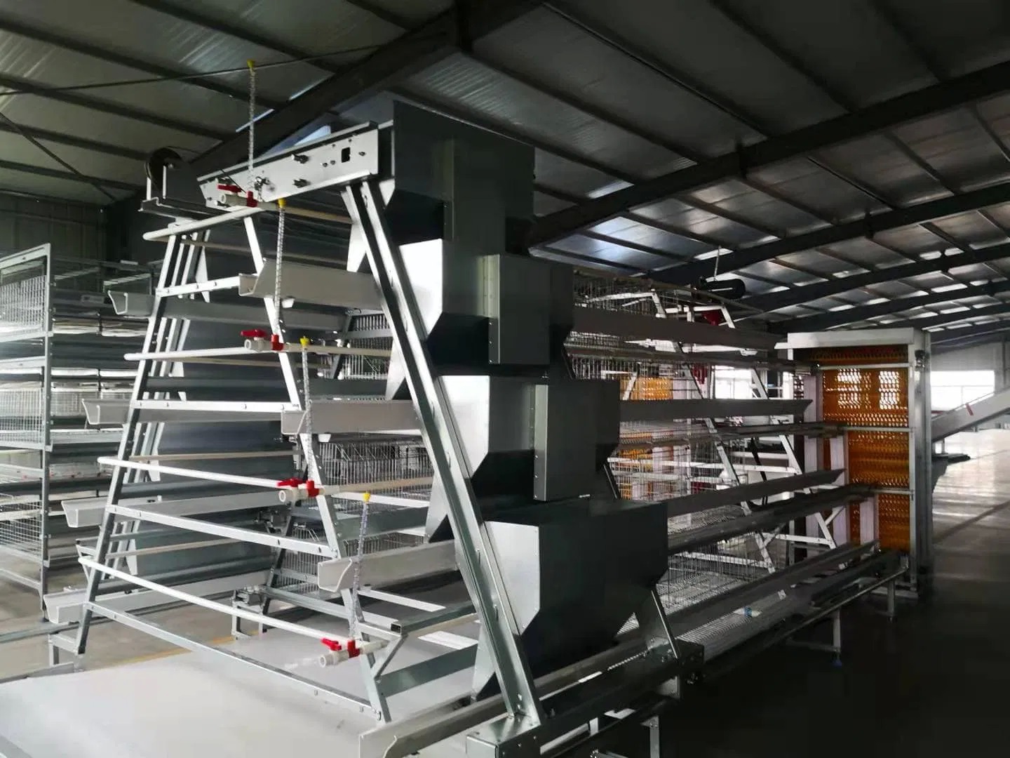 Automatic Feeding Chicken Cage A Type Layer Cage 3 Tiers  4 Tiers Low Maintenance