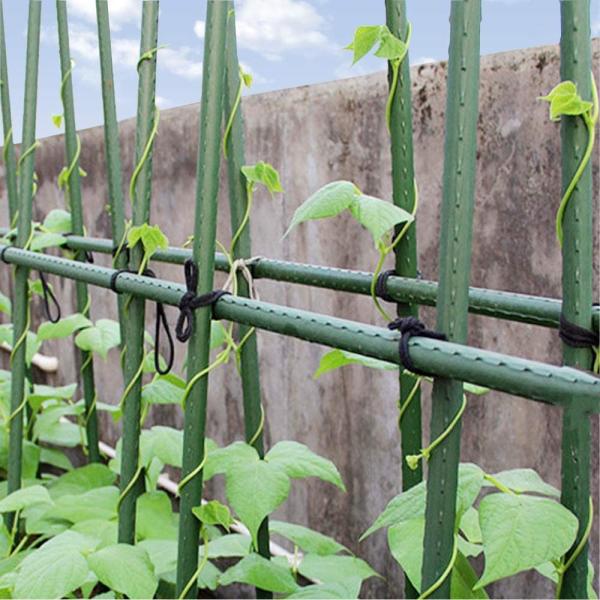 8mm Metal Green 6 Foot Tomato Stakes