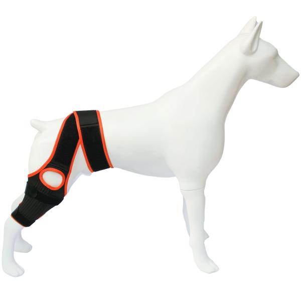 Dog Knee Brace