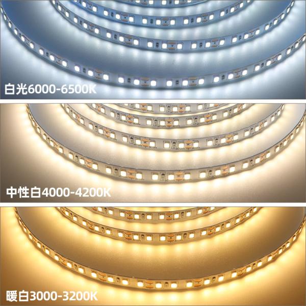 10 мм 240 leds самоклеящаяся светодиодная лента 22W / M теплая белая холодная белая светодиодная лента