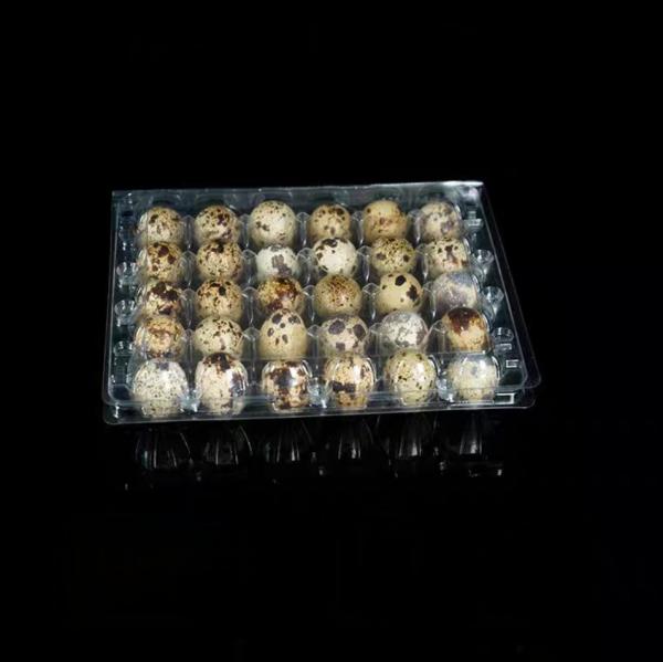 Hinged Plastic Egg Packaging Blister Clamshell 30 Hole Transparent Quail Egg Tray