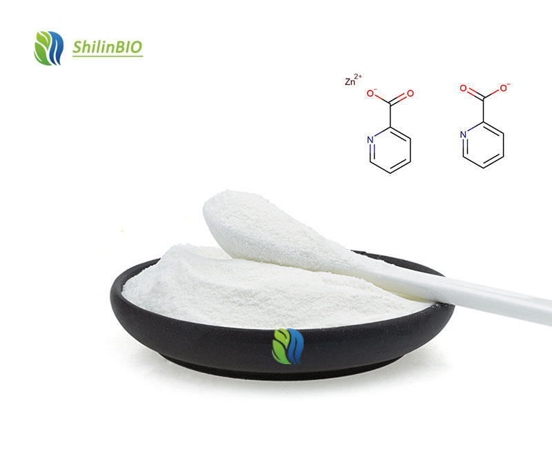 SLBIO Supply Factory Food Grade Zinc Picolinate Nutrition Supplements Powder Cas 17949-65-4 in Drum Packaging