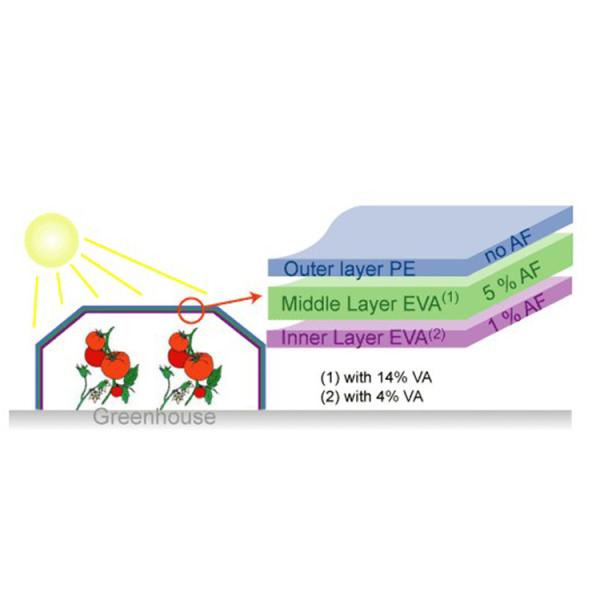 150/200 Micron PE Plastic Greenhouse Cover | UV-Resistant Agricultural Poly Film