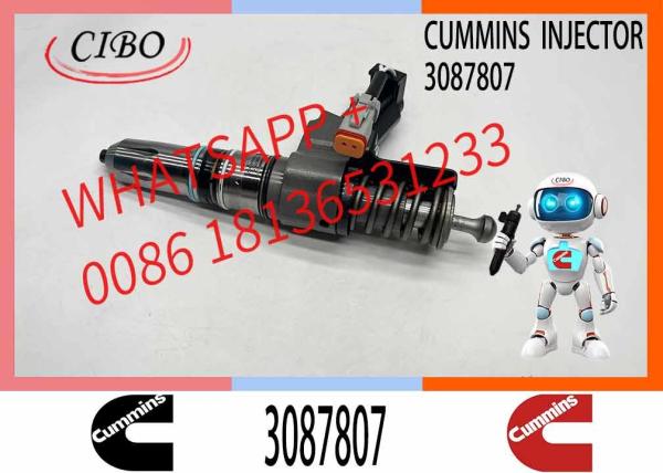 CUMMINS Construction Machinery Part Fuel Injector 3087807 CUMMINS N14 Nozzle QSN14 CUMMINS SD22 Bulldozer Engine Injector