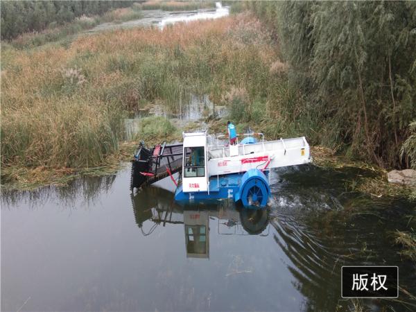 2021 ceifeira aquáticas da erva daninha/água Hyacinth Mowing Vessel/Reed Cutting Ship