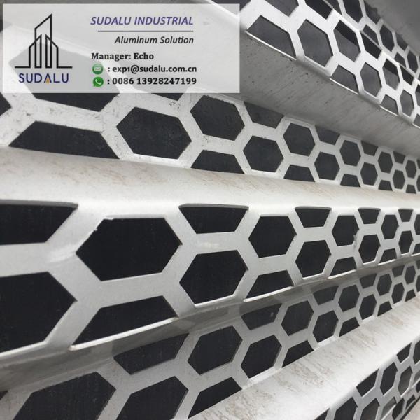 SUDALU Exterior Building Metal 3D Curtain Wall Cladding Aluminum Panel