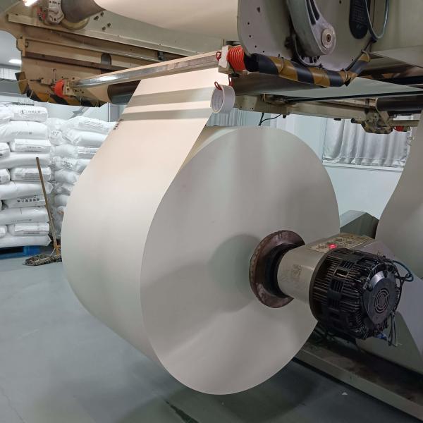 Biodegradable PE Coated Paper Roll Customizable For Food Packaging Solutions