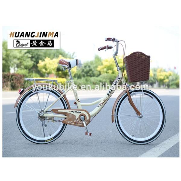 V Brake Single Speed 24 Inch Womens Commuter Bike