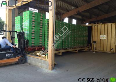 Vácuo da flor de corte - equipamento refrigerando