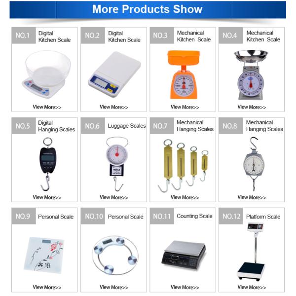 Customizable ABS Axle Scale Weighing Machine ODM OEM Supported Unit kg/lb Capacity 1kgx5g 2kgx10g 3kgx10g 5kgx20g 10kgx50g