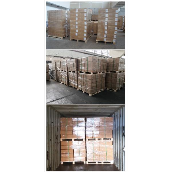 Soporte ajustable para la grupa de perros para aseo, 19 pulgadas, acero inoxidable