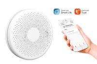 O alarme portátil do detector de fumo de WiFi combina o alarme do monóxido de carbono do detector do Co com a baixa potência lembra