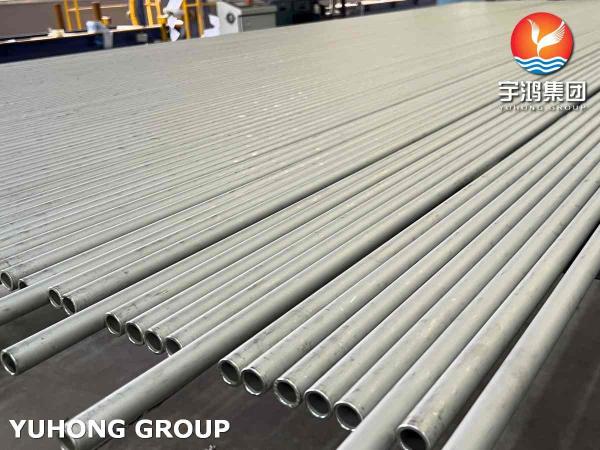 Seamless Superheater Boiler Tube Bundle ASTM A213 TP316H Stainless Steel