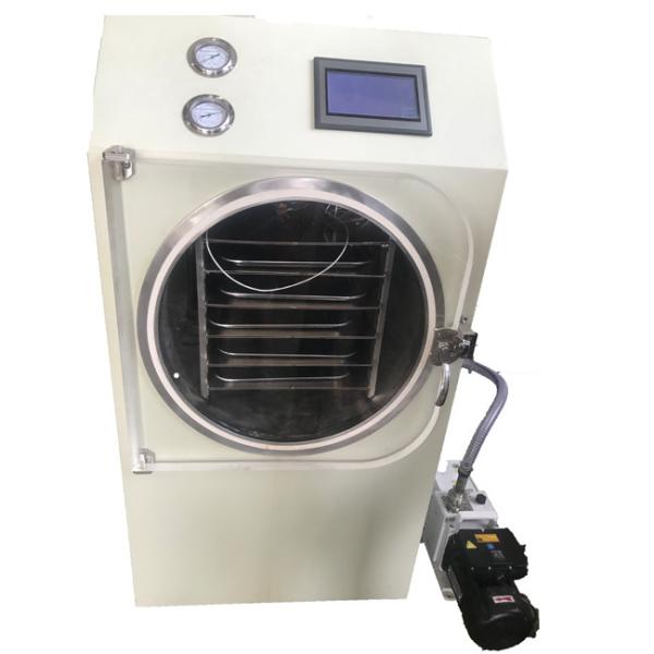 Automatic Control One Key Start Kitchen Freeze Dryer 304 Stainless Steel