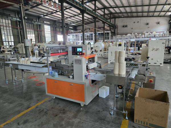 Multifunctional 1/2/4/6 rolls side sealing small toilet paper roll / kitchen towel packing machine