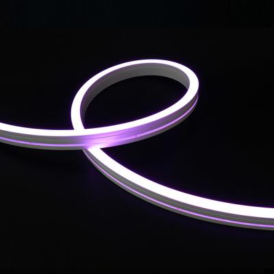Swimming Pools LED Neon Flex String Lights 24V IP68 CV SPI Or DMX512 High Brightness