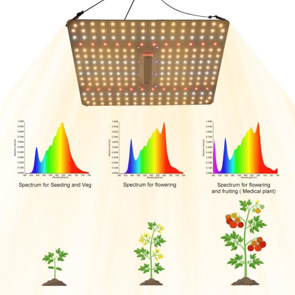 60x60cm LED Plant Set Full Spectrum Samsung 150W LED Grow Lamp Hydroponics 600D Grow Tent Kit with Ventilation Fan