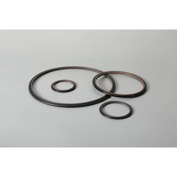 Dust Proof Rubber HBTS Seal Mechanical Seal Auto Engines Brown