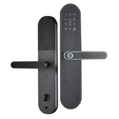 Password Tuya Smart Door Lock Inteligent Star Gray With Magnetic Card