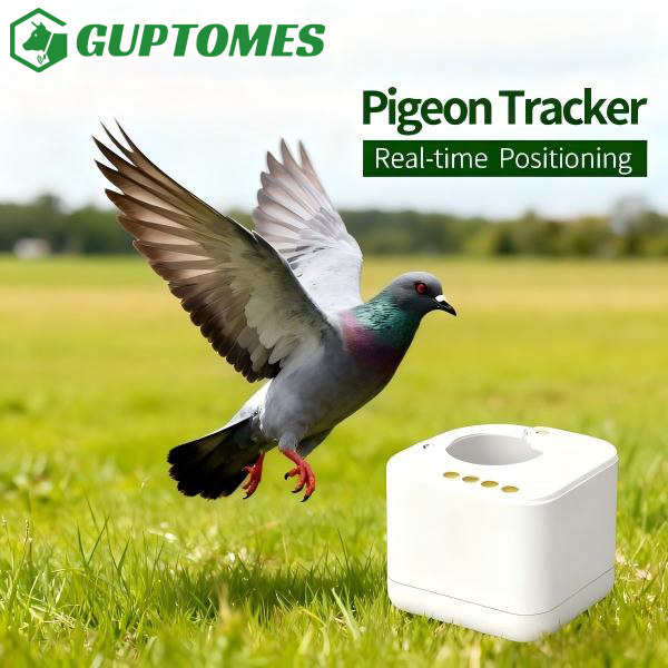 Traqueur GPS léger pour pigeons voyageurs de 2,6 g, inviolable, non temps réel,
