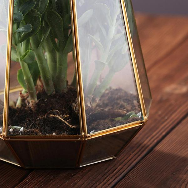 Irregular Geometric Glass Terrarium , Tabletop Diy Geometric Terrarium