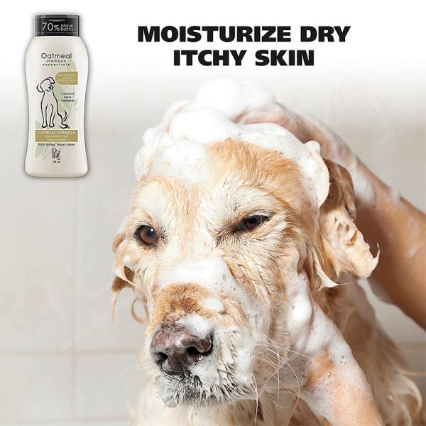 Itch Relief Pet Care Shampoo For Dogs Oatmeal Formula With Coconut Lime Verbena