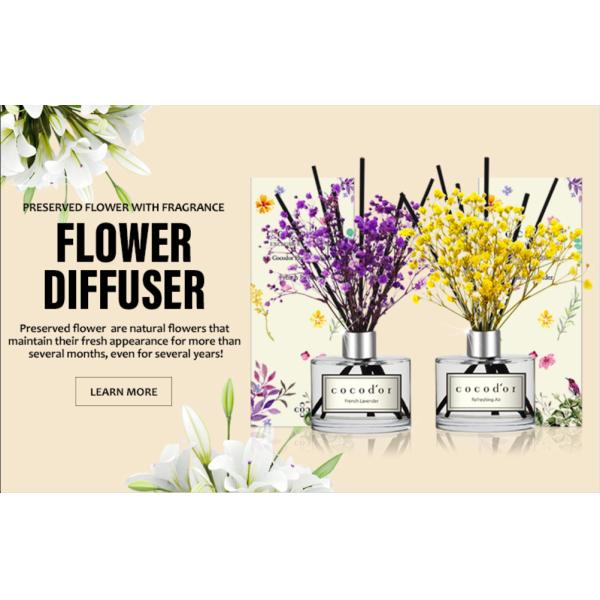 Home Fragrance Scented Reed Diffuser Natural Scent Gift Set