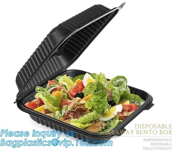 Natural Compostable 3 Compartment Biodegradable Disposable Corn Starch Food Container,starch 4 compartment microwave foo
