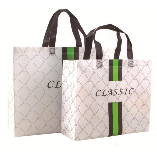 Industrial Shopping Non-woven Shopping Bags with Folding Style and Non-woven Material
