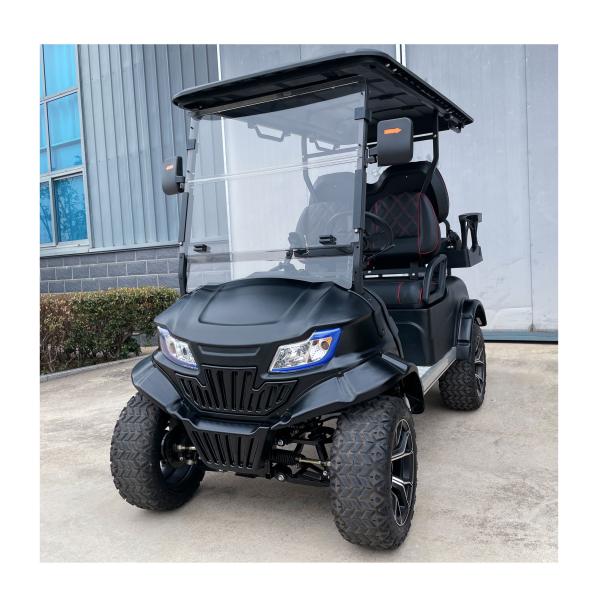 800kg Max Load Capacity Golf Cart with Fast Buggy Electric and Customized Logo Design