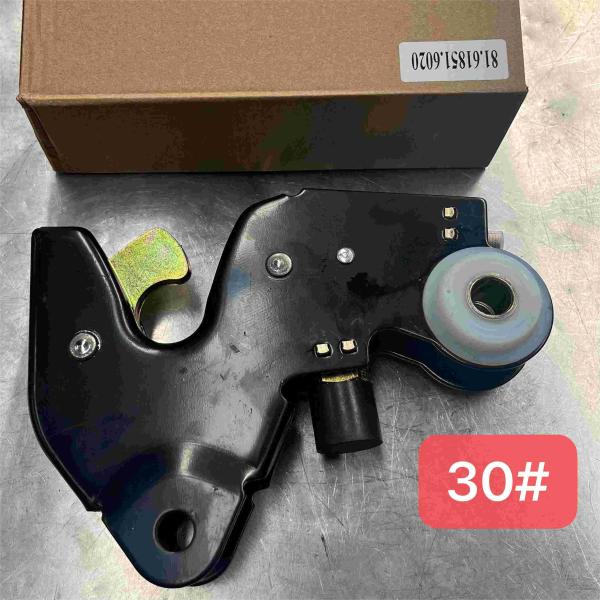81.61851.6020 Hydraulic Lock Shacman Truck Spare Parts