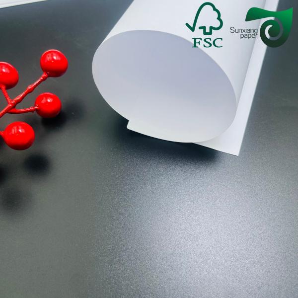 Papier Offset A4 Blanc Mat PET Synthétique 150um 200um FSC Pour Imprimantes Laser