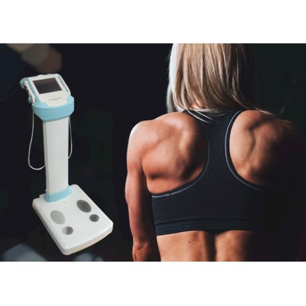 Professional Body Composition Analyzer / Body Analysis Machine With LCD Display