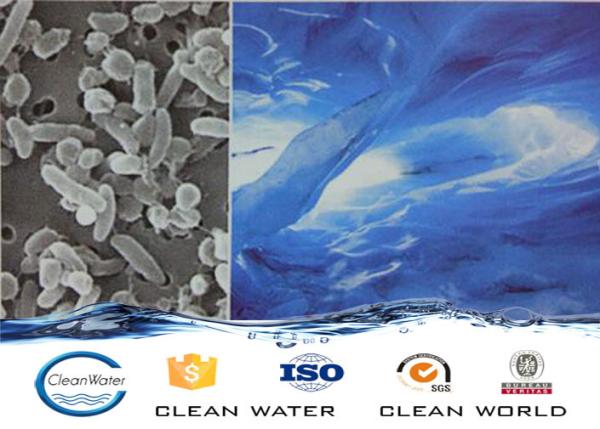 Tratamento das bactérias de Halotolerant da fábrica de tratamento do esgoto para imprimir o ISO da BV da água de esgoto
