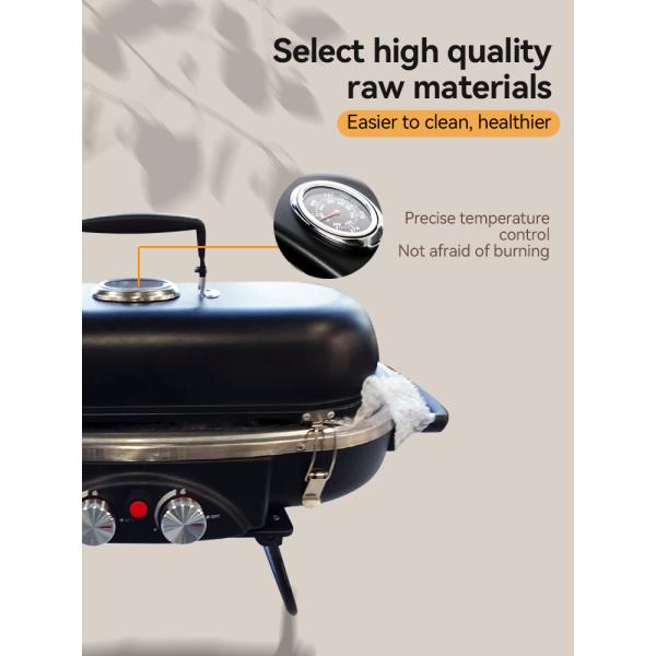 Easily Assembled 2 Burner Propane BBQ Gas Grill with Rotisserie Natural Gas Type