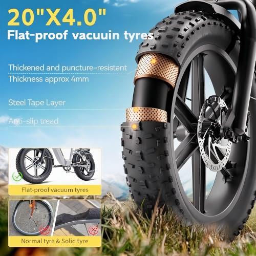 2026 EU Stock F008 Fat Tire Electric Bicycle 48V 20